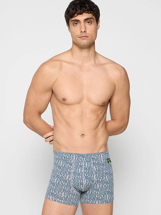 Zdjęcie produktu Bokserki z krótkimi nogawkami Emporio Armani szary