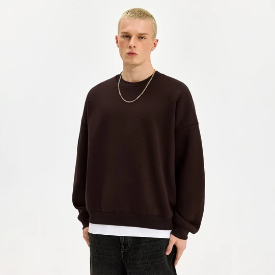 Zdjęcie produktu Brązowa bluza basic typu crewneck House