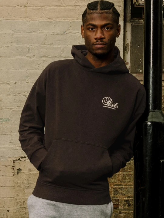 Zdjęcie produktu Brązowa bluza męska z grafiką SikSilk
