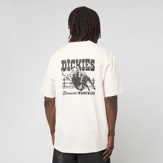 Zdjęcie produktu Buchtell Short Sleeve Tee Dickies beż