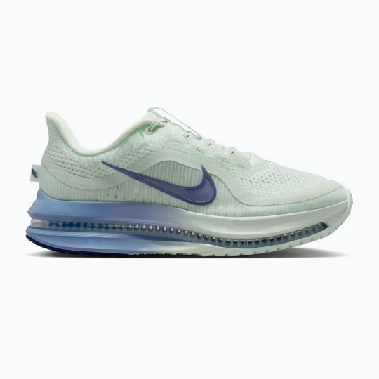 Zdjęcie produktu Buty do biegania damskie Nike Pegasus Premium barely green / work blue / blue void