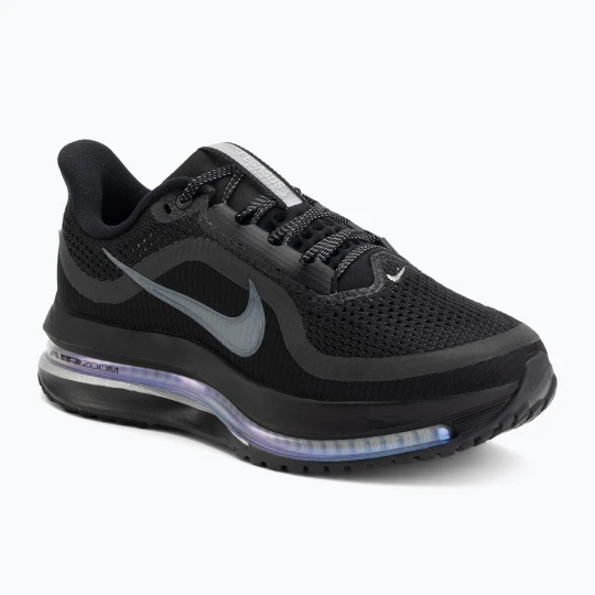 Zdjęcie produktu Buty do biegania damskie Nike Pegasus Premium black/metallic silver/black