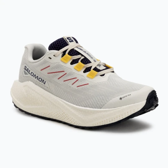 Zdjęcie produktu Buty do biegania damskie Salomon Aero Blaze 3 Gravel GTX vanilla ice/astral aura/lemon Beżowy