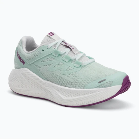 Zdjęcie produktu Buty do biegania damskie Salomon Aero Glide 3 bay/white/wilowherb Zielony