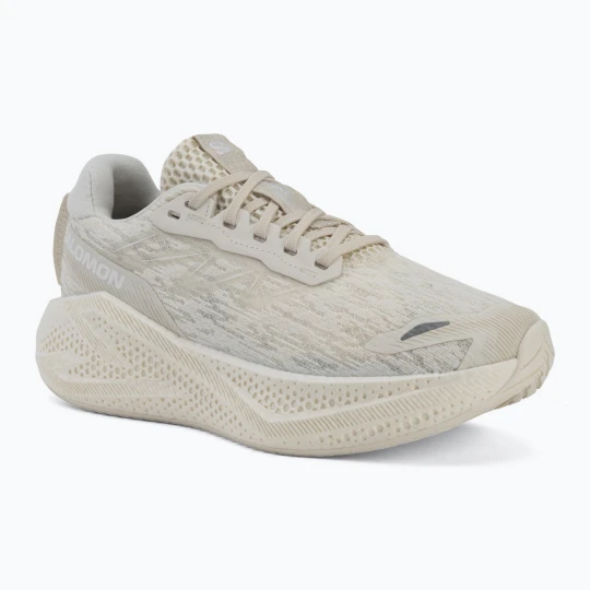 Zdjęcie produktu Buty do biegania damskie Salomon Aero Glide 4 vanila/vanila/white