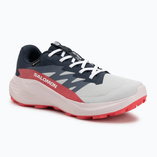 Zdjęcie produktu Buty do biegania damskie Salomon Alphaglide GTX lunar rock/blue night/rouge red