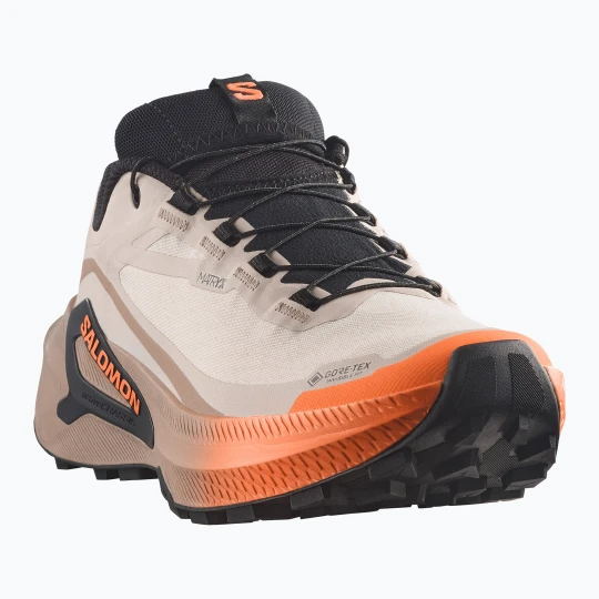 Zdjęcie produktu Buty do biegania damskie Salomon Genesis 2 GTX rainy day / desert tan Biały