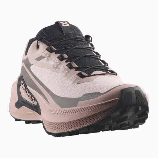 Zdjęcie produktu Buty do biegania damskie Salomon Genesis 2 GTX shadow gray / iron Szary