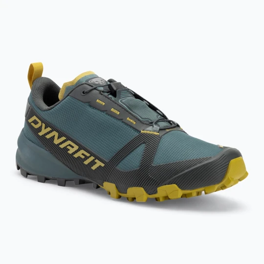 Zdjęcie produktu Buty do biegania męskie DYNAFIT Traverse GTX lichen / atlantic Zielony