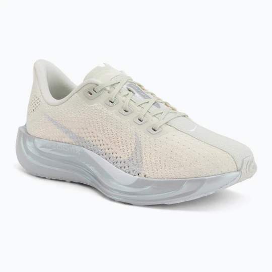Zdjęcie produktu Buty do biegania męskie Nike Pegasus Plus ESS sea glass / chalk / pure platinum / white Beżowy
