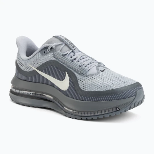 Zdjęcie produktu Buty do biegania męskie Nike Pegasus Premium wolf grey / cool grey / anthracite / sail