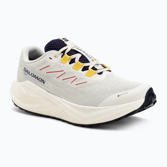 Zdjęcie produktu Buty do biegania męskie Salomon Aero Blaze 3 Gravel GTX vanilla ice / astral aura / lemon Beżowy
