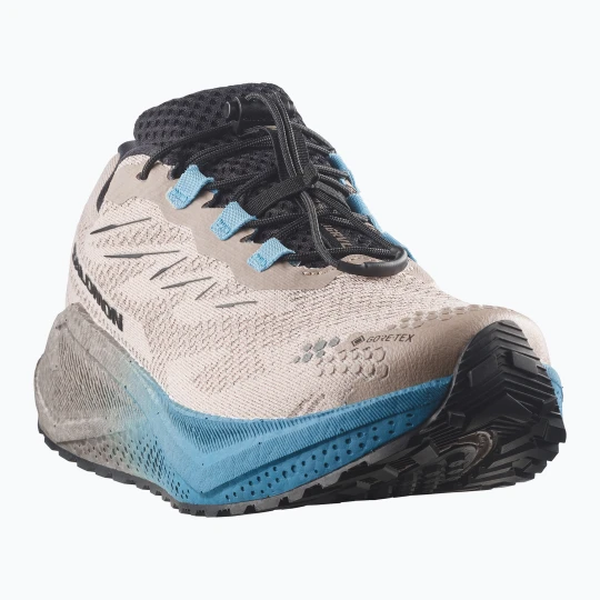 Zdjęcie produktu Buty do biegania męskie Salomon Aero Blaze 4 GRVL GTX oxford tan / black Beżowy