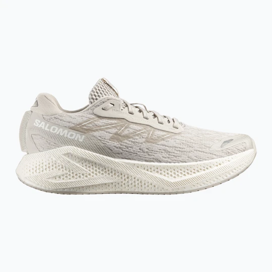 Zdjęcie produktu Buty do biegania męskie Salomon Aero Glide 4 silver / silver / white