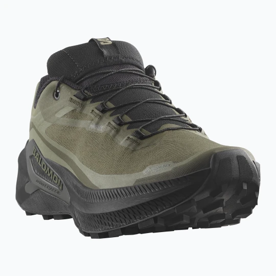 Zdjęcie produktu Buty do biegania męskie Salomon Genesis 2 GTX grape leaf / black Zielony