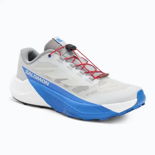 Zdjęcie produktu Buty do biegania męskie Salomon Pulsar lunar rock / white / french blue