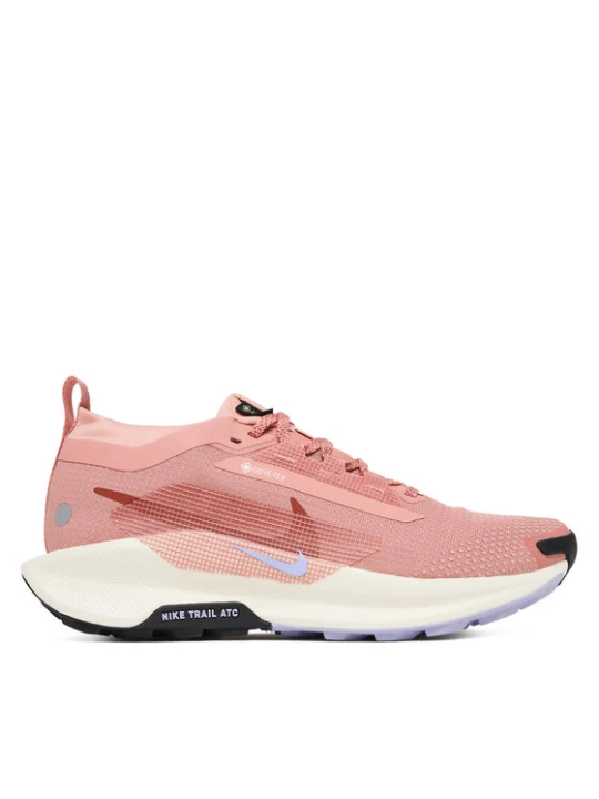 Zdjęcie produktu Buty do biegania Nike W Pegasus Trail 5 Gtx GORE-TEX FQ0912 602 Różowy