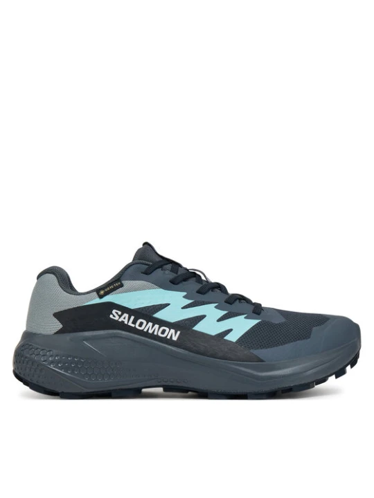 Zdjęcie produktu Buty do biegania Salomon Alphaglide Gore-Tex L47802500 Szary