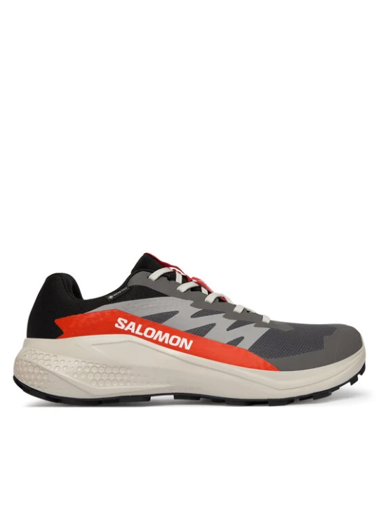 Zdjęcie produktu Buty do biegania Salomon Alphaglide Gore-Tex L47975300 Szary