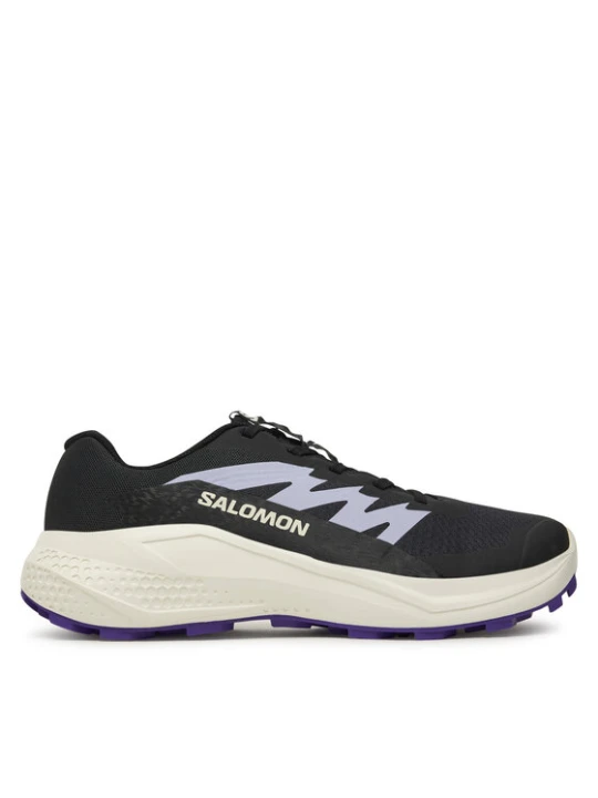 Zdjęcie produktu Buty do biegania Salomon Alphaglide L47801800 Szary