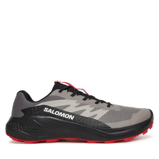Zdjęcie produktu Buty do biegania Salomon Alphaglide L48000800 Szary