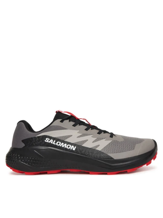 Zdjęcie produktu Buty do biegania Salomon Alphaglide L48000800 Szary