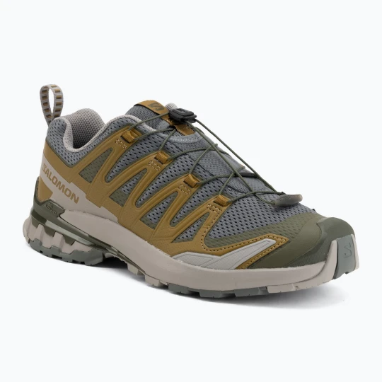 Zdjęcie produktu Buty do bieganie męskie Salomon XA Pro 3D V9 sedona sage / plantation / paloma Szary