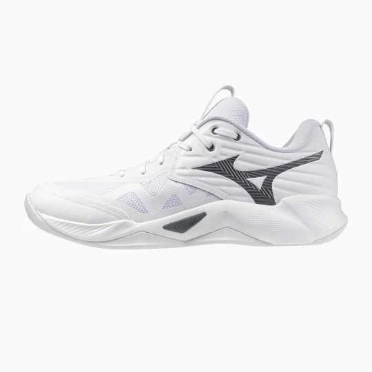 Zdjęcie produktu Buty do siatkówki Mizuno Wave Momentum Pro white / metallic gray / black