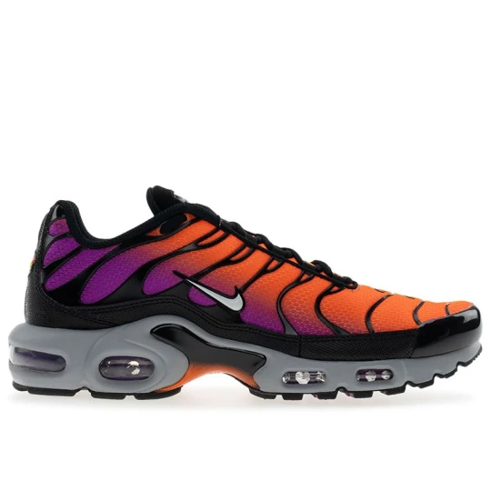 Zdjęcie produktu Buty męskie Nike Air Max Plus DM0032-014 - multikolor