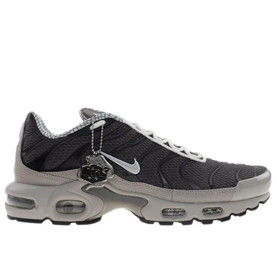 Zdjęcie produktu Buty męskie Nike Air Max Plus IB7679-200 - szare
