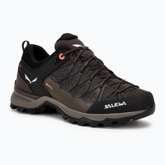Zdjęcie produktu Buty trekkingowe damskie Salewa MTN Trainer Lite GTX wallnut / fluo coral Brązowy