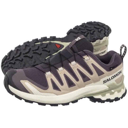 Zdjęcie produktu Buty Trekkingowe XA Pro 3D V9 Gtx W Nine Iron / Oxford Tan / Alfalfa 477447 (SO38-a) Salomon