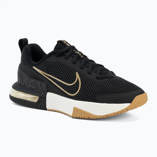 Zdjęcie produktu Buty treningowe męskie Nike Air Max Alpha Trainer 6 black/sail/parachute beige