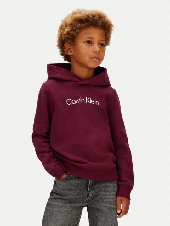 Zdjęcie produktu Calvin Klein Jeans Bluza IU0IU00679 Fioletowy Regular Fit
