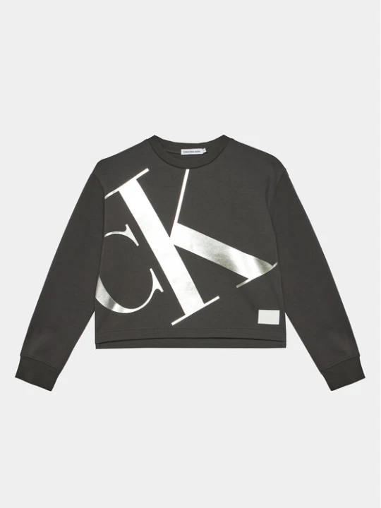 Zdjęcie produktu Calvin Klein Jeans Bluza Mercury Monogram IG0IG02482 Szary Regular Fit