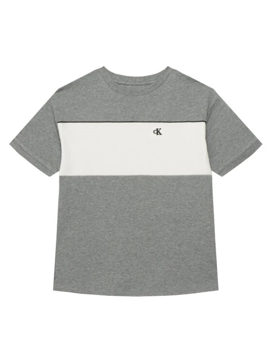 Zdjęcie produktu Calvin Klein Jeans T-Shirt LVCKTJA41B Szary Regular Fit