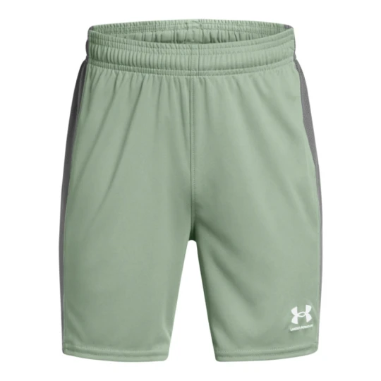 Zdjęcie produktu Chłopięce spodenki treningowe Under Armour UA B\'s Ch. Knit Short - zielone