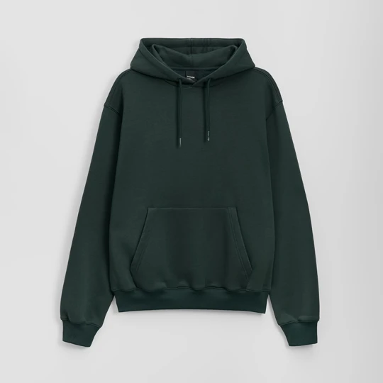 Zdjęcie produktu Ciemnozielona bluza basic regular fit z kapturem House zielony
