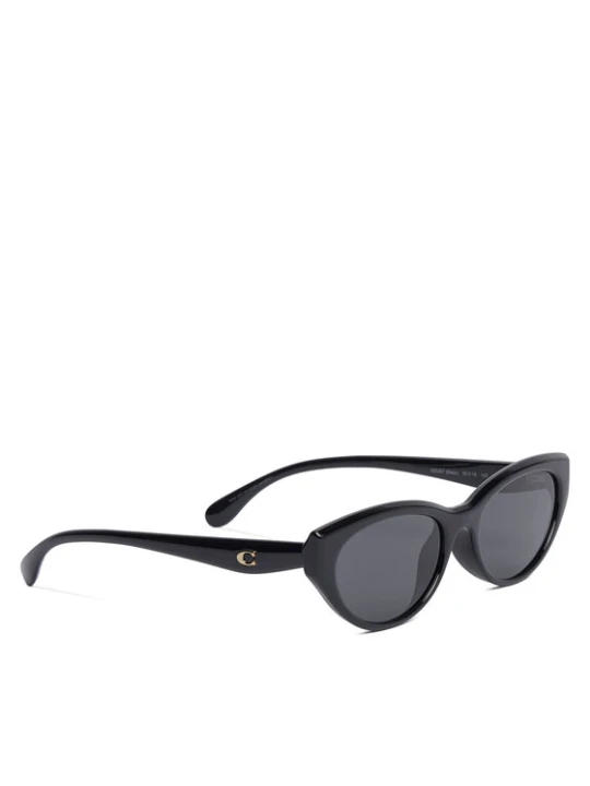 Zdjęcie produktu Coach Okulary przeciwsłoneczne 0HC8456D 500287 Czarny