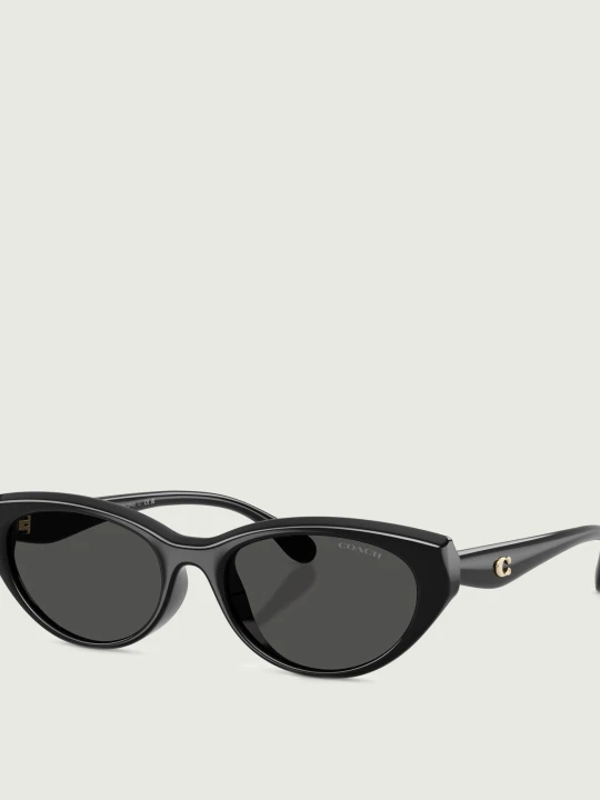Zdjęcie produktu Coach Okulary przeciwsłoneczne Injected HC8456D czarny