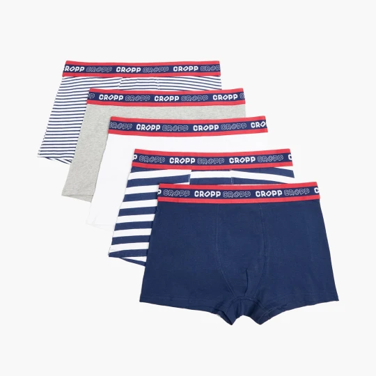 Zdjęcie produktu Cropp - 5 pack bokserek basic - granatowy