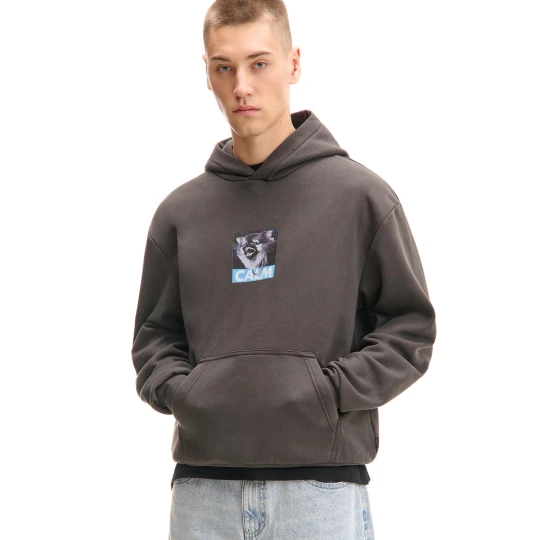Zdjęcie produktu Cropp - Bluza hoodie z groteskowym motywem psa - czerwony