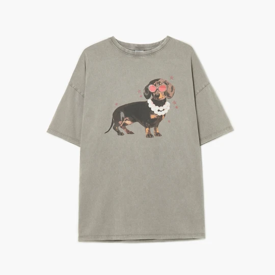Zdjęcie produktu Cropp - Sprany T-shirt z nadrukiem jamnika - jasny szary