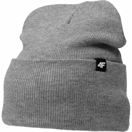 Zdjęcie produktu Czapka 4FAW23ACAPM316 4F Szary