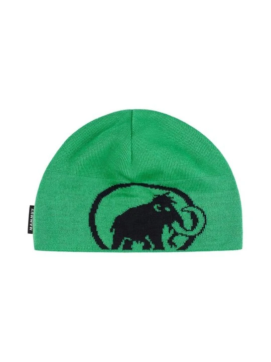 Zdjęcie produktu Czapka Mammut zielony