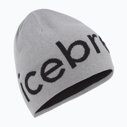 Zdjęcie produktu Czapka zimowa icebreaker Merino Icebreaker Beanie alloy / black Szary