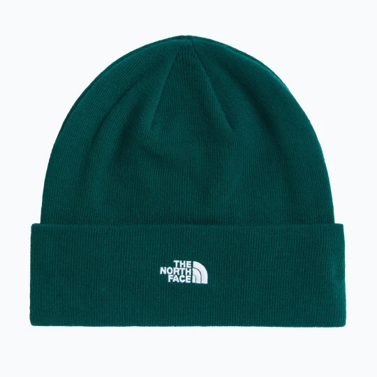Zdjęcie produktu Czapka zimowa The North Face Norm Beanie hunter green
