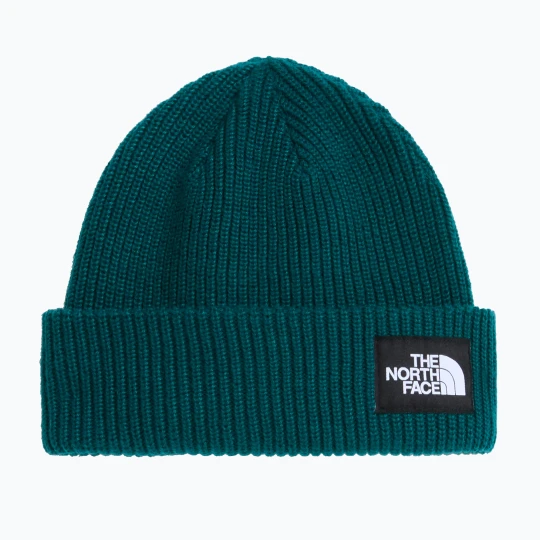 Zdjęcie produktu Czapka zimowa The North Face Salty Lined pacific teal Niebieski