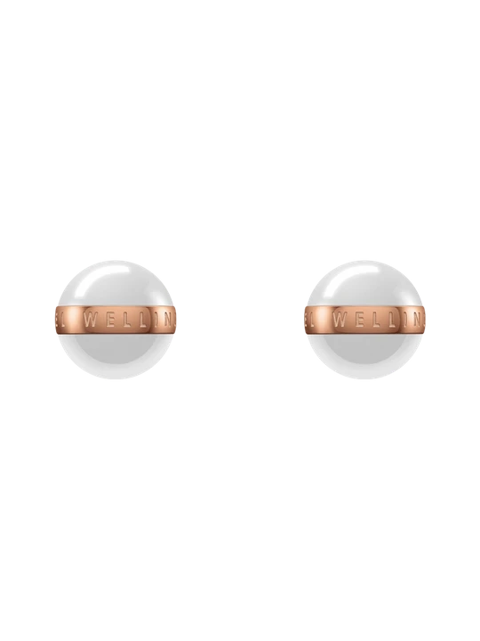 Zdjęcie produktu Daniel Wellington DW Aspiration Earrings One Size Rose Gold