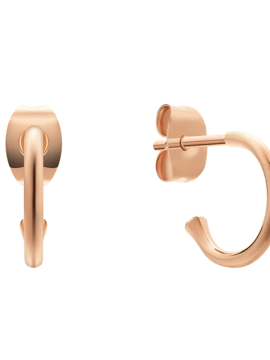 Zdjęcie produktu Daniel Wellington DW Charm Charms Earrings Rose Gold One Size